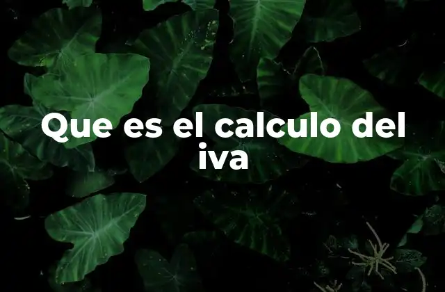 Que es el Calculo Del Iva