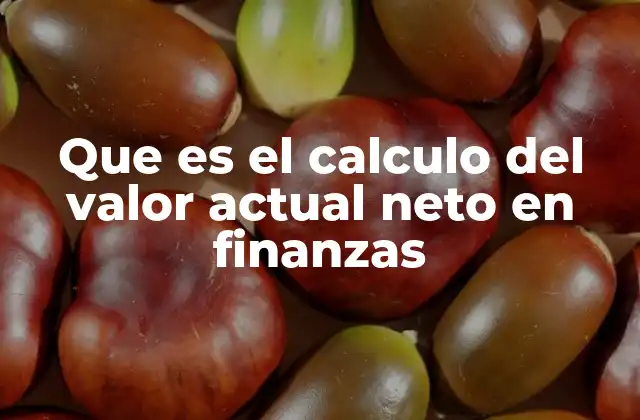 Que es el Calculo Del Valor Actual Neto en Finanzas