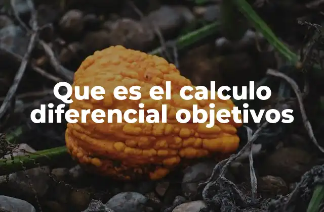 Que es el Calculo Diferencial Objetivos
