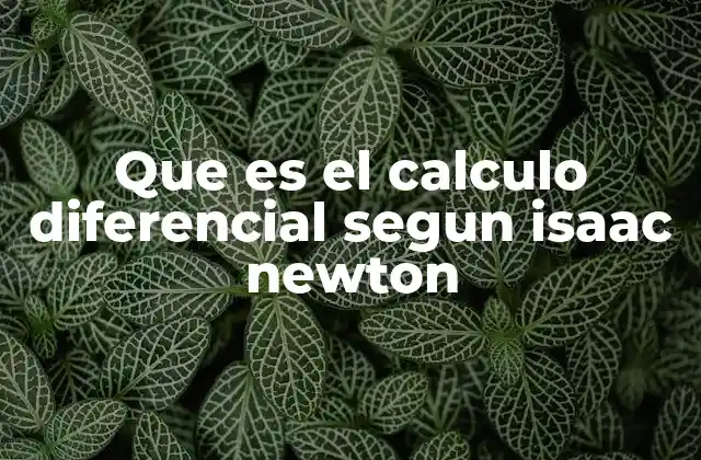 Que es el Calculo Diferencial Segun Isaac Newton