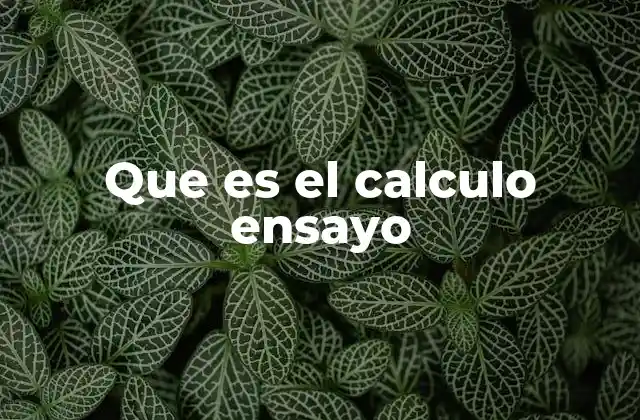Que es el Calculo Ensayo