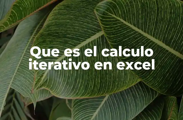 Que es el Calculo Iterativo en Excel