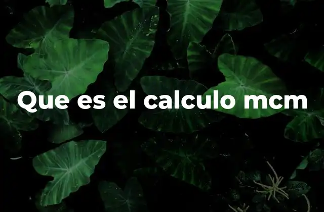 Que es el Calculo Mcm