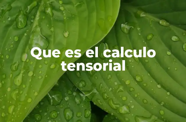 La importancia del cálculo tensorial en la física moderna