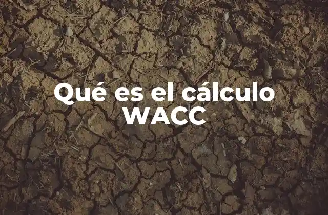 Qué es el Cálculo Wacc