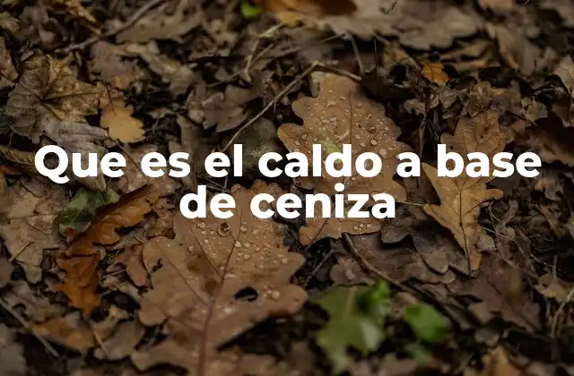 El origen y la evolución de los caldos minerales