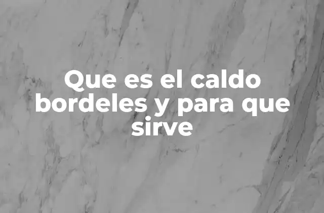 Que es el Caldo Bordeles y para que Sirve