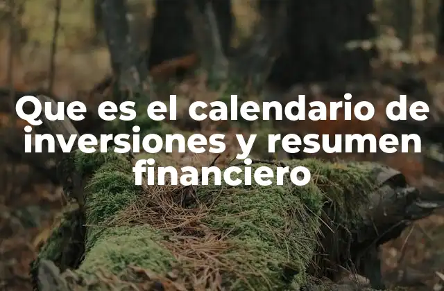Que es el Calendario de Inversiones y Resumen Financiero