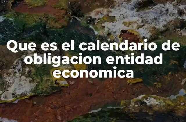 Que es el Calendario de Obligacion Entidad Economica
