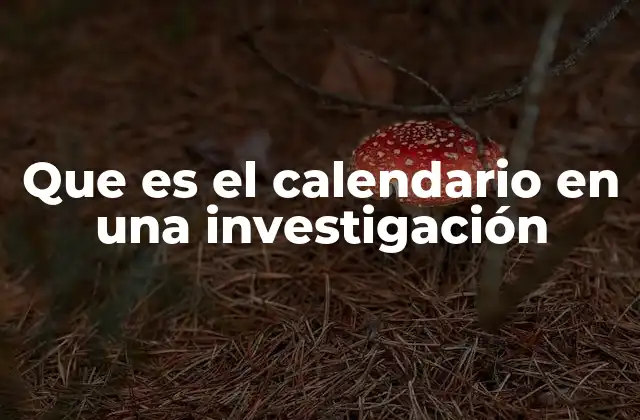 Que es el Calendario en una Investigación