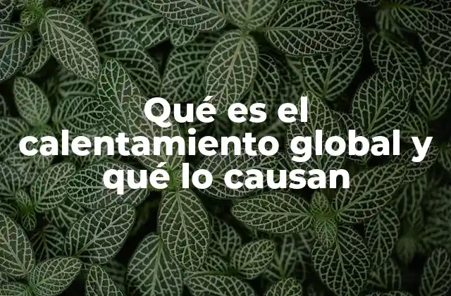 Qué es el Calentamiento Global y Qué Lo Causan