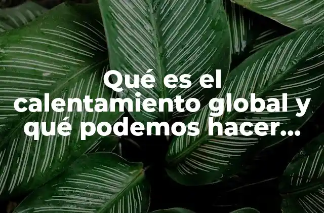 Qué es el Calentamiento Global y Qué Podemos Hacer para Cambiar Este
