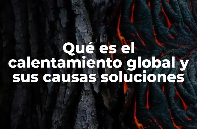 Qué es el Calentamiento Global y Sus Causas Soluciones