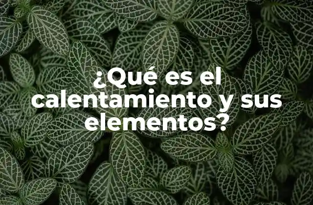 ¿qué es el Calentamiento y Sus Elementos?
