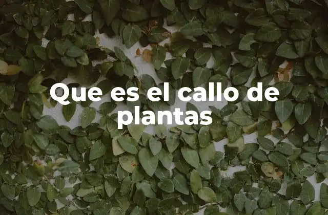 Que es el Callo de Plantas