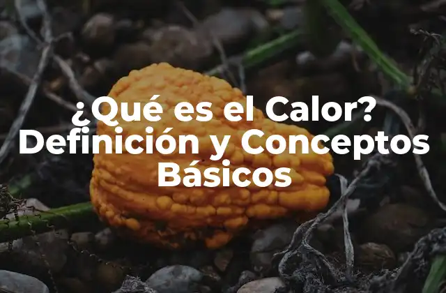 ¿qué es el Calor? Definición y Conceptos Básicos