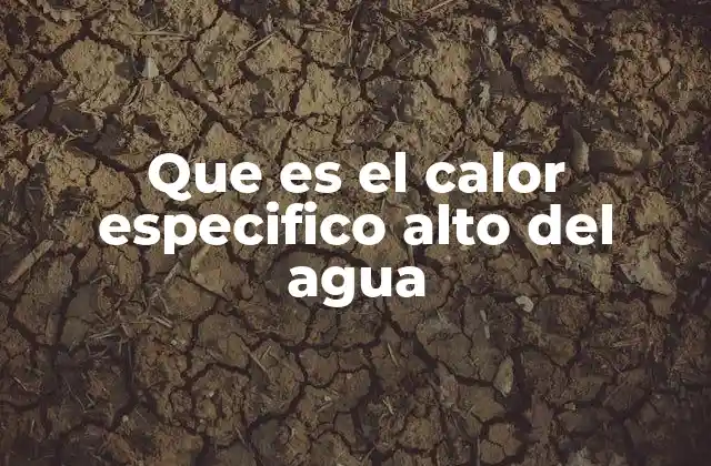 Que es el Calor Especifico Alto Del Agua