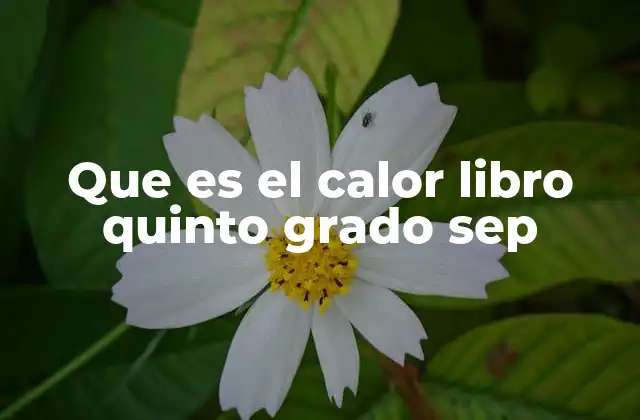 Que es el Calor Libro Quinto Grado Sep