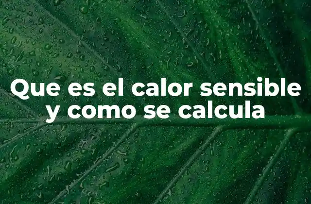 Que es el Calor Sensible y como Se Calcula
