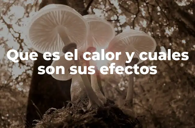 Que es el Calor y Cuales Son Sus Efectos