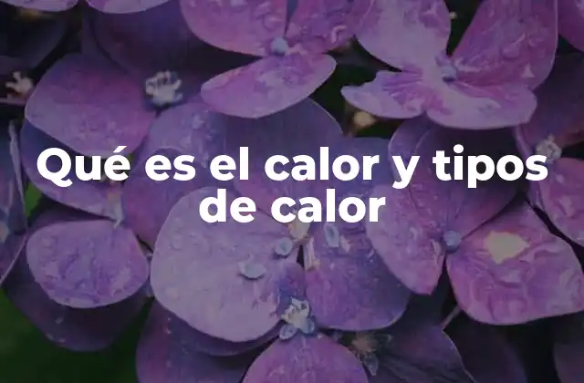 Qué es el Calor y Tipos de Calor
