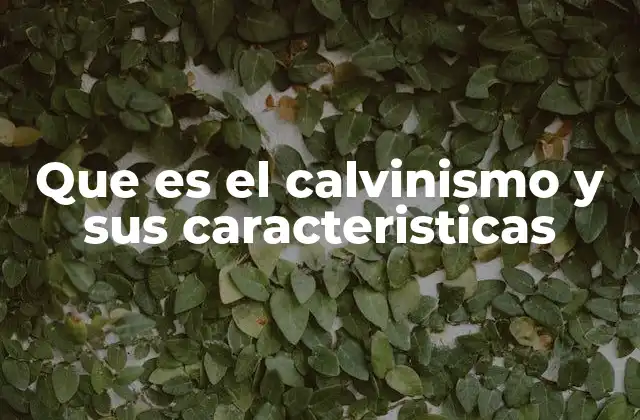Orígenes y desarrollo del calvinismo