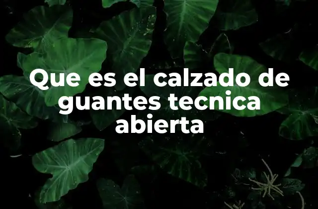 Que es el Calzado de Guantes Tecnica Abierta