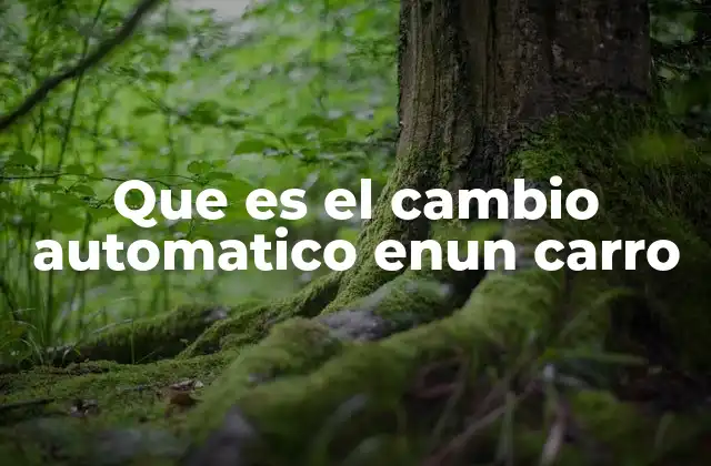 Que es el Cambio Automatico Enun Carro