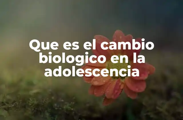Que es el Cambio Biologico en la Adolescencia