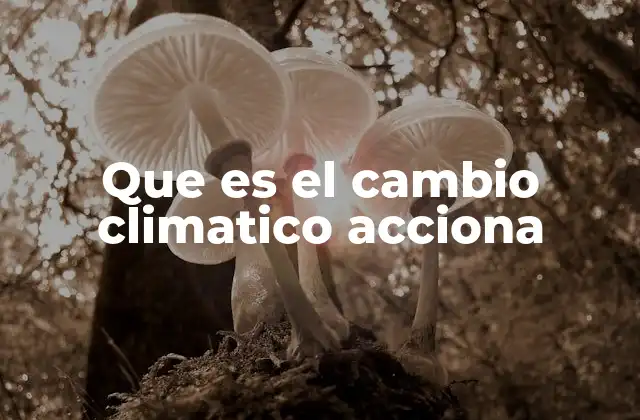 Que es el Cambio Climatico Acciona