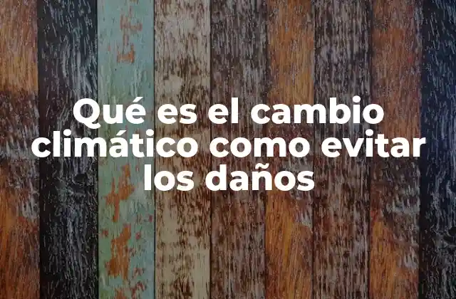 Cómo las actividades humanas aceleran el calentamiento global