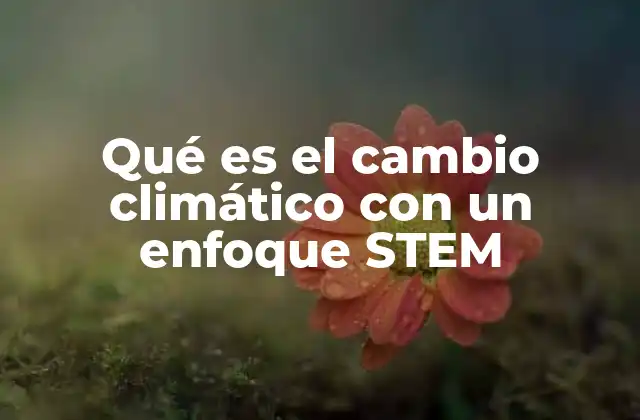 Qué es el Cambio Climático con un Enfoque Stem