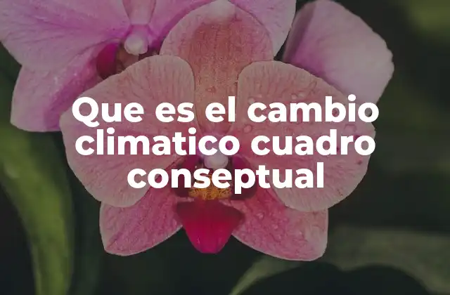 Que es el Cambio Climatico Cuadro Conseptual