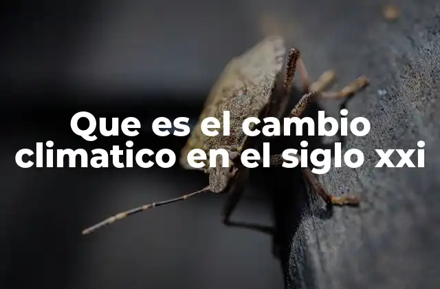 Que es el Cambio Climatico en el Siglo Xxi