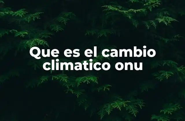 El papel de las Naciones Unidas en la lucha contra el calentamiento global