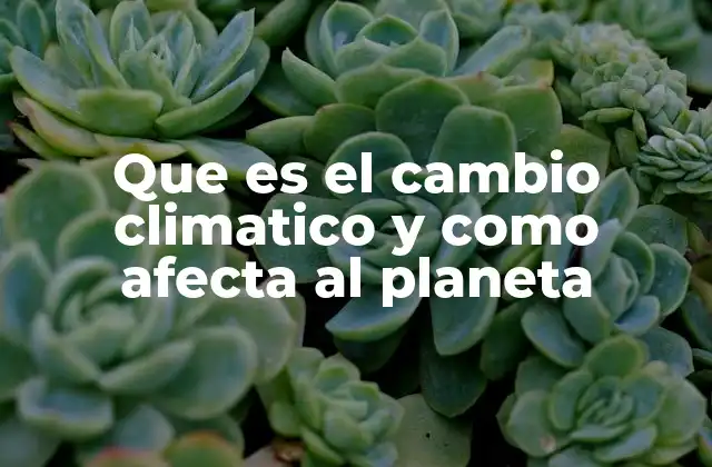 Que es el Cambio Climatico y como Afecta Al Planeta