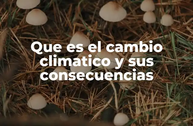 Cómo el cambio climático afecta al planeta y a la vida en la Tierra