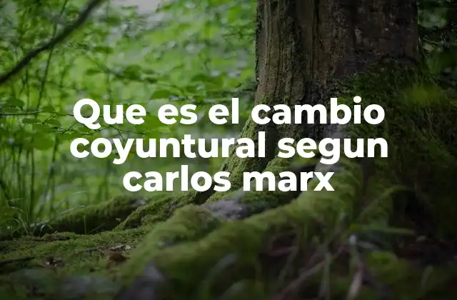 Que es el Cambio Coyuntural Segun Carlos Marx