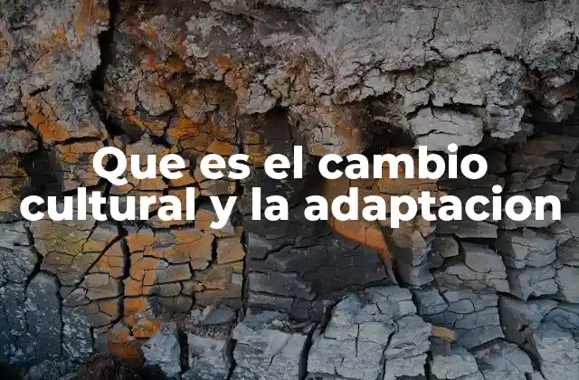 La evolución de las organizaciones ante el dinamismo del entorno