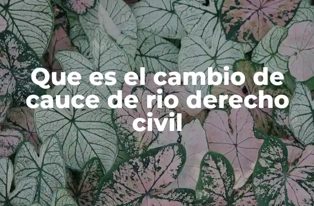 Que es el Cambio de Cauce de Rio Derecho Civil