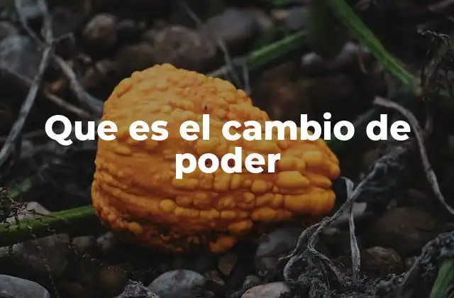 Que es el Cambio de Poder