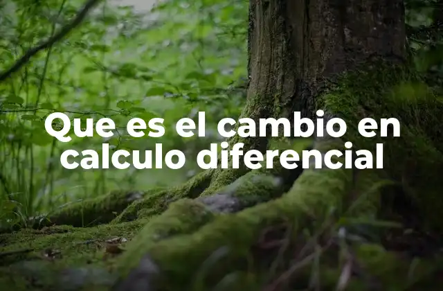 El estudio de las variaciones continuas