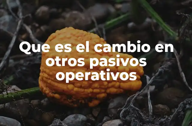 La importancia del flujo operativo en la salud financiera