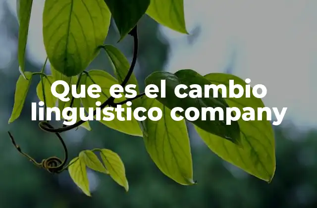 Que es el Cambio Linguistico Company