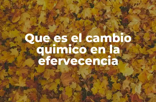 Que es el Cambio Quimico en la Efervecencia