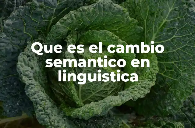 Que es el Cambio Semantico en Linguistica