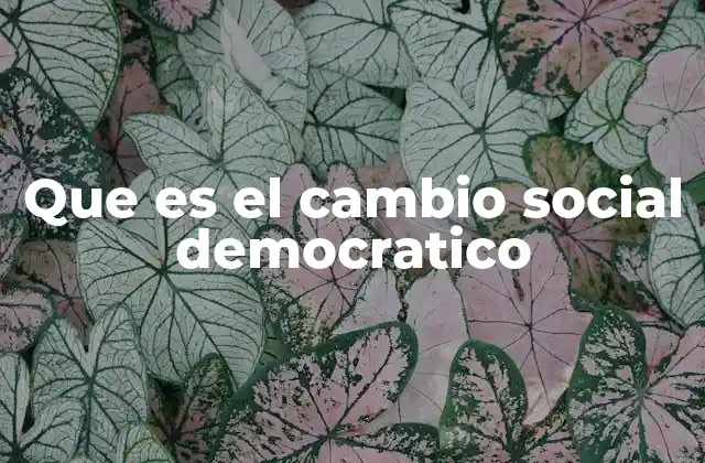 Que es el Cambio Social Democratico 2 La participación ciudadana como motor del cambio
