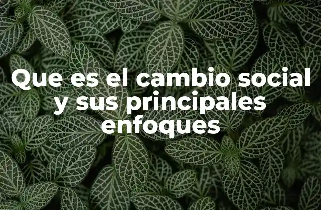 Que es el Cambio Social y Sus Principales Enfoques