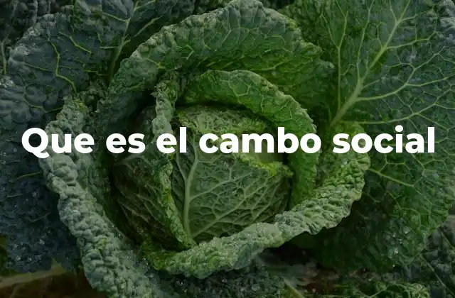 Que es el Cambo Social