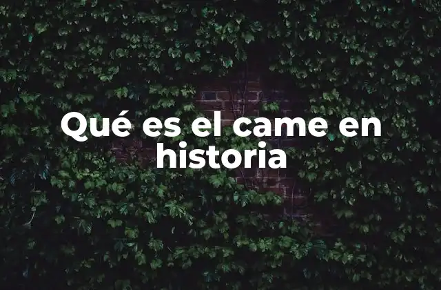 Qué es el Came en Historia